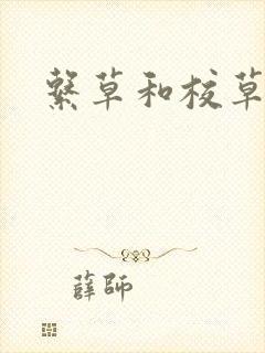 系草和校草