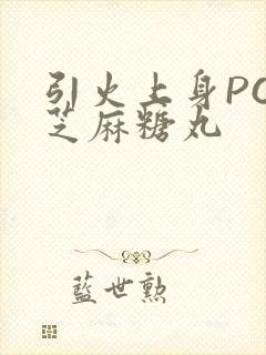 引火上身POP芝麻糖丸