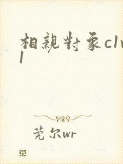 相亲对象c1v1