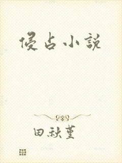 侵占小说