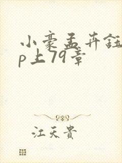 小豪孟卉钰慧三p上79章