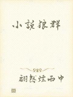 小说狼群封面