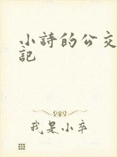 小诗的公交车日记