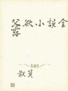 父欲小说金银花露封面