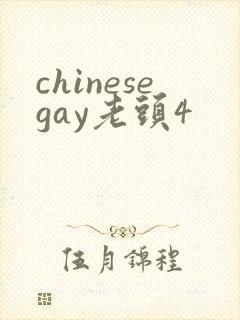 chinesegay老头4