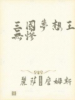 三国梦想王元姬无惨