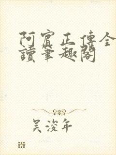 阿宾正传全文阅读笔趣阁封面