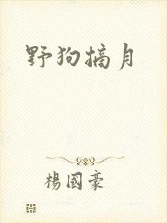 野狗摘月封面