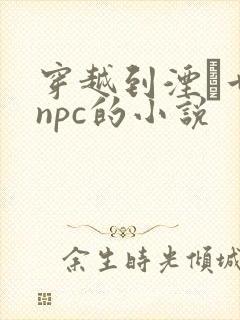 穿越到湮婸世界npc的小说