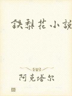 铁梨花小说封面