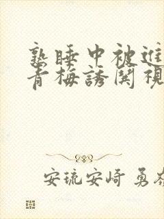 熟睡中被进了H青梅诱哄视频