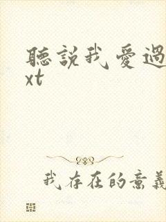 听说我爱过你txt封面