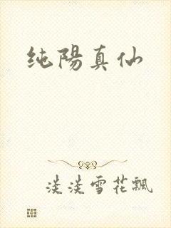 纯阳真仙