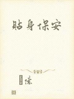 贴身保安封面