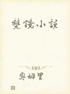 双镜小说封面