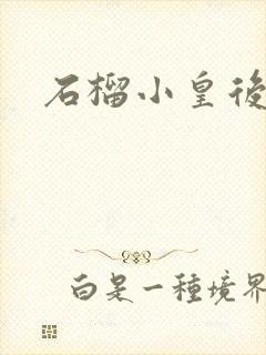石榴小皇后封面