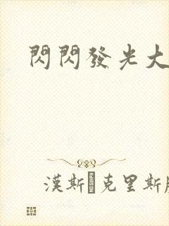 闪闪发光大团结封面