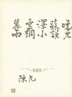 慕云泽苏晚晴夏雨桐小说免费阅读