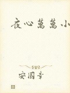 夜心万万小说