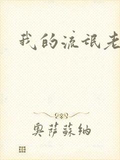 我的流氓老师封面