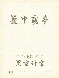 笼中窥梦封面