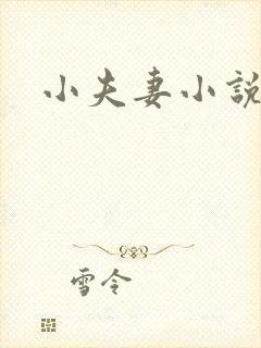 小夫妻小说