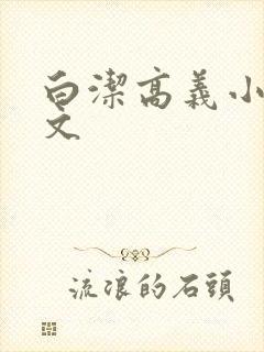 白洁高义小说全文封面