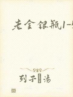 老金银瓶1-5封面