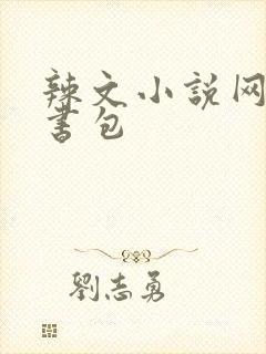 辣文小说网第二书包