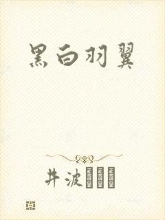 黑白羽翼封面