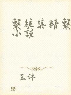 系统集精系统 小说
