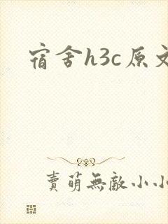 宿舍h3c原文封面