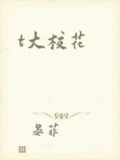 t大校花