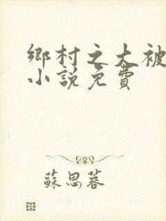 乡村之大被同眠小说免费