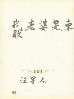 我老婆是东方不败