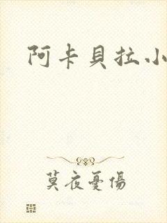 阿卡贝拉小说