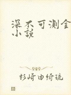 深不可测金银花小说封面