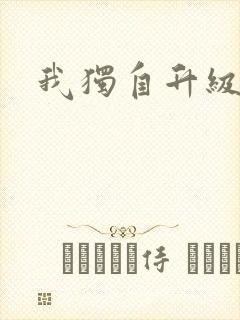 我独自升级