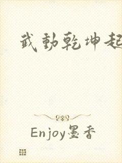 武动乾坤起点封面