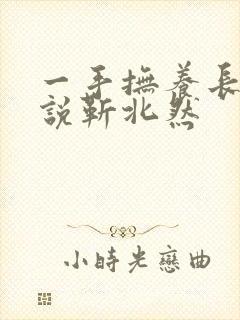 一手抚养长大小说靳北然封面