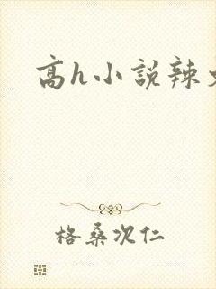 高h小说辣文