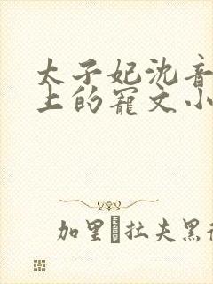 太子妃沈音和皇上的宠文小说