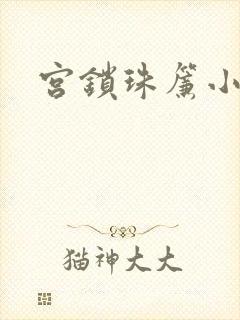 宫锁珠帘小说