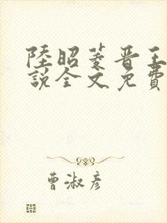 陆昭菱晋王的小说全文免费阅读封面