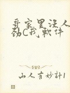 哥家里没人使点劲C我软件