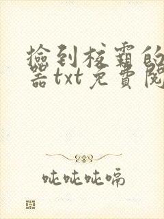 捡到校霸的遥控器txt免费阅读by阳阳
