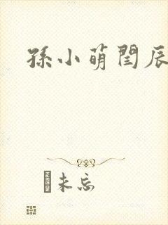 孙小萌闫辰封面