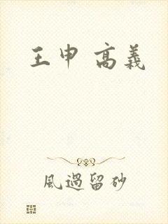 王申 高义