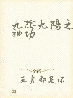九阴九阳之阴阳神功封面