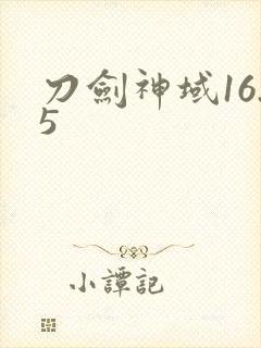 刀剑神域16.5